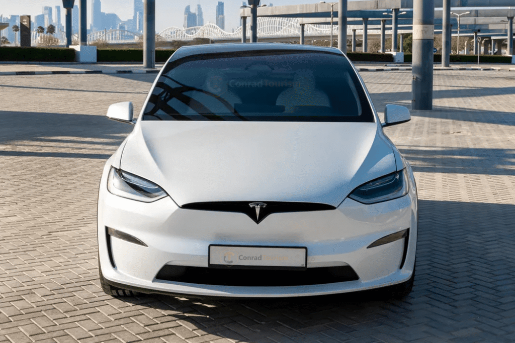 Tesla X With Driver Dubai
